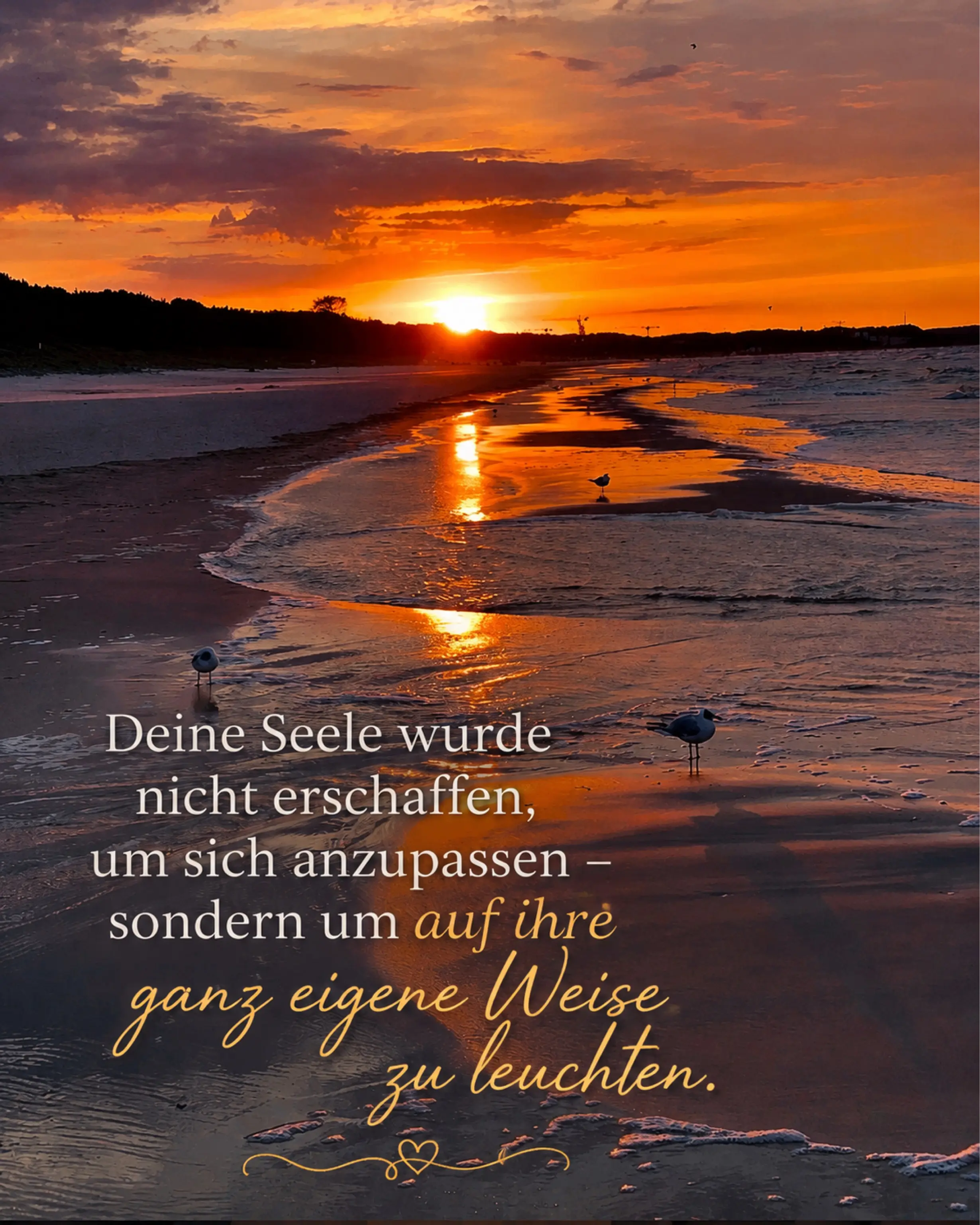 Zitatbild: Deine Seele wurde nicht erschaffen, um sich anzupassen sondern um auf ihre ganz eigene Weise zu leuchten.